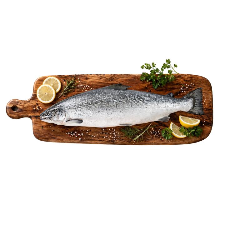 Salmon Entero Verlasso Fresco 1 Kg