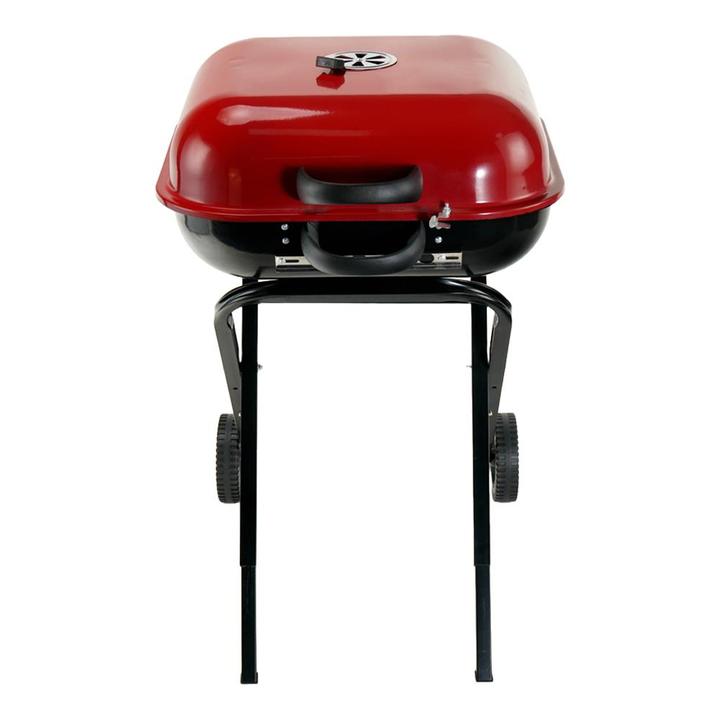 Asador Plegable 1 Pz