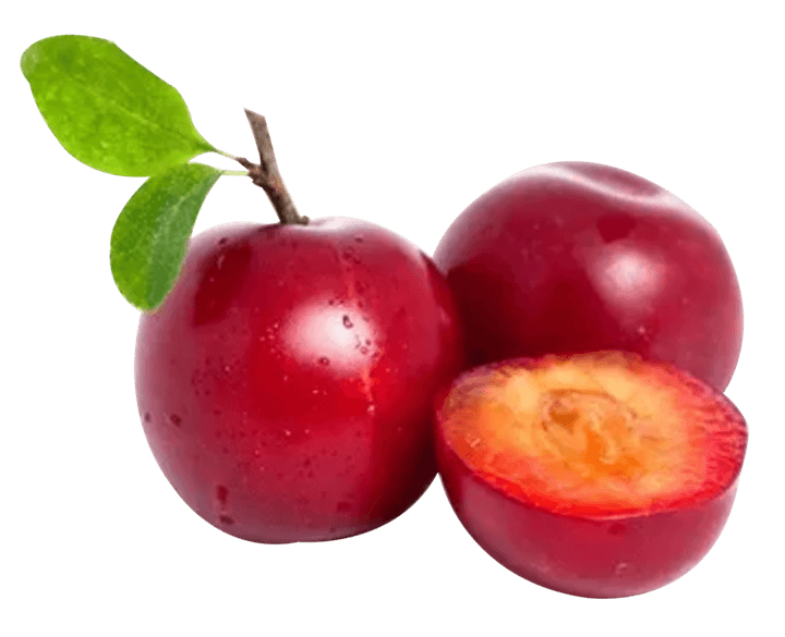 Ciruela Moscatel