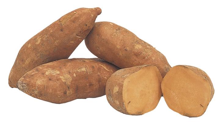 Camote Amarillo Mt