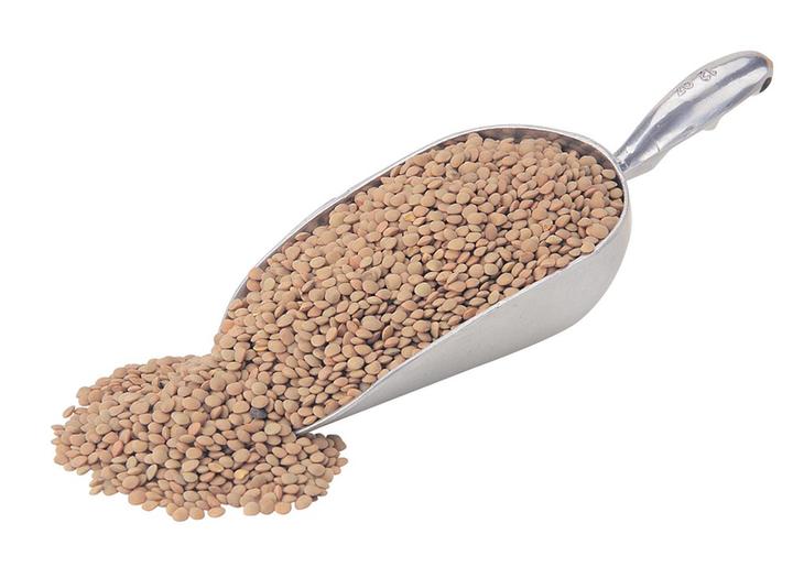 Lenteja Mt 1 Kg