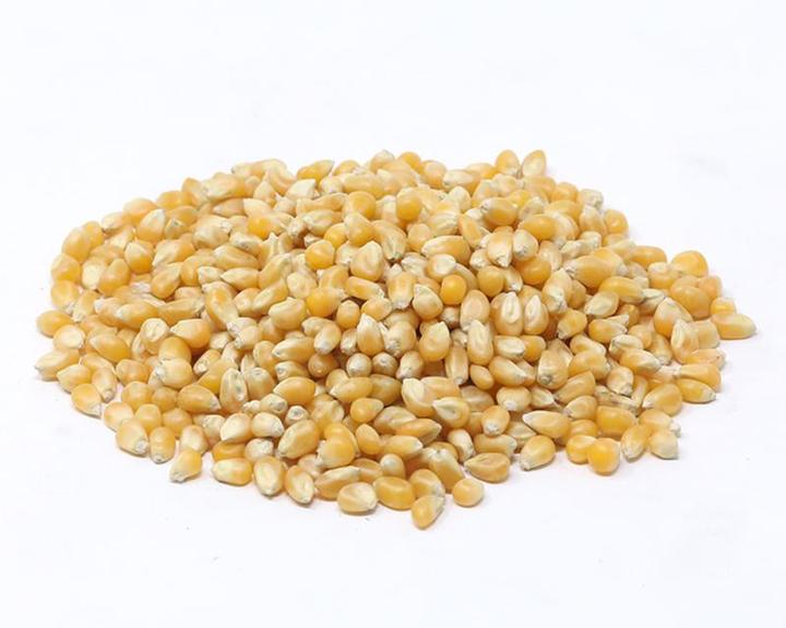 Maiz Palomero Mt 1 Kg