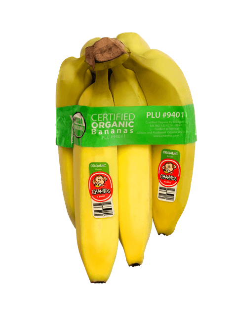 Plátano Orgánico