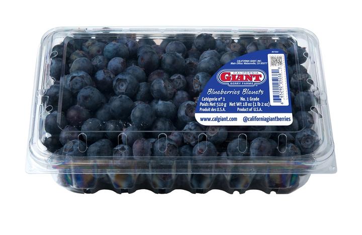 Blueberries 510 G
