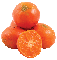Mandarina Fremont