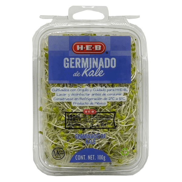 Germinado De Kale 1 Pz