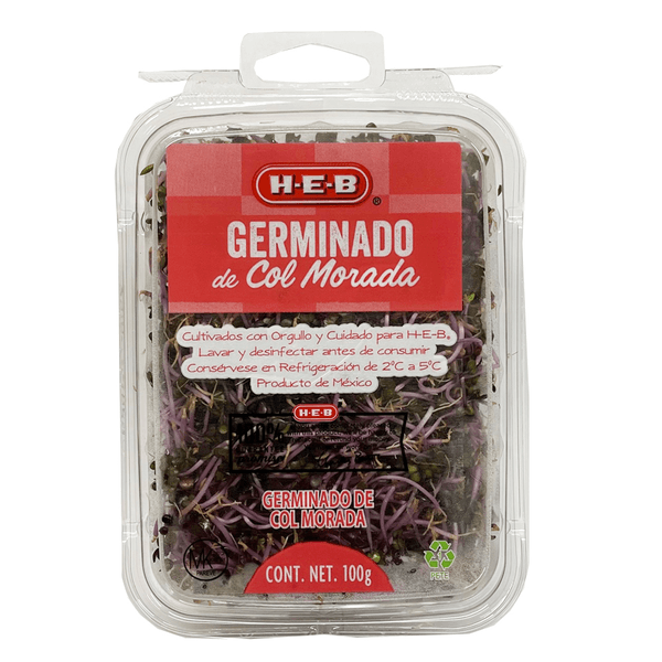Germinado De Col Morada 1 Pz