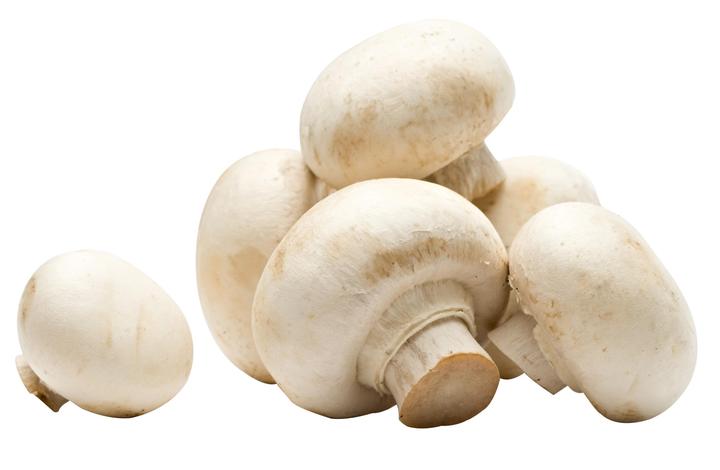 Champiñon Blanco A Granel Bajio