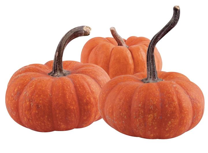 Calabaza Brujita 1 Kg