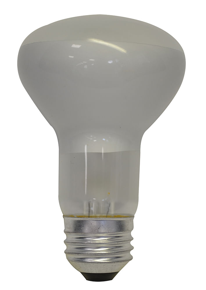 Br20 50w Flood 1 Pz