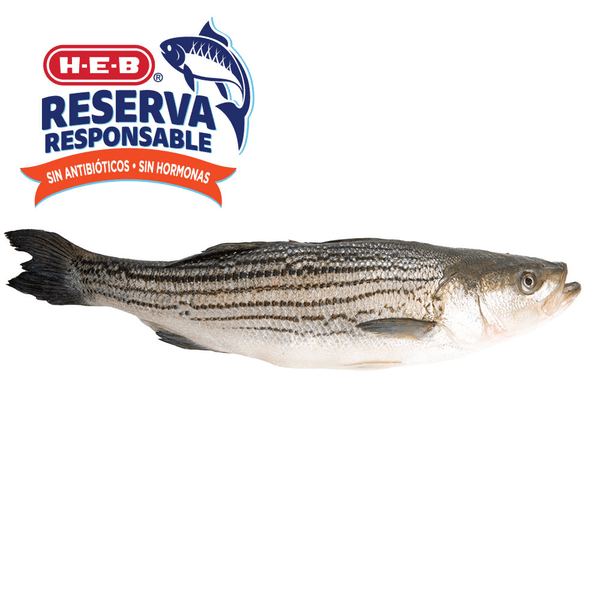 Lobina Rayada Entera Fresca 1 Kg