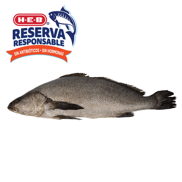 Totoaba Entera De Cultivo Fresca 1 Kg