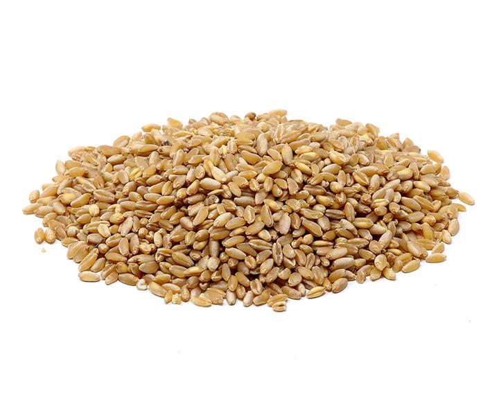 Trigo 1 Kg
