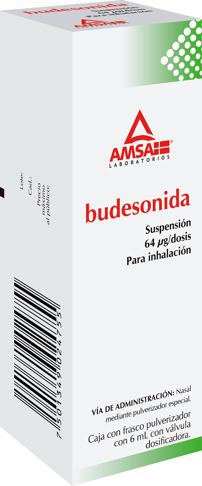 Budesonida 1.280 Mg 120 Dosis 64 Mgs 6 Ml