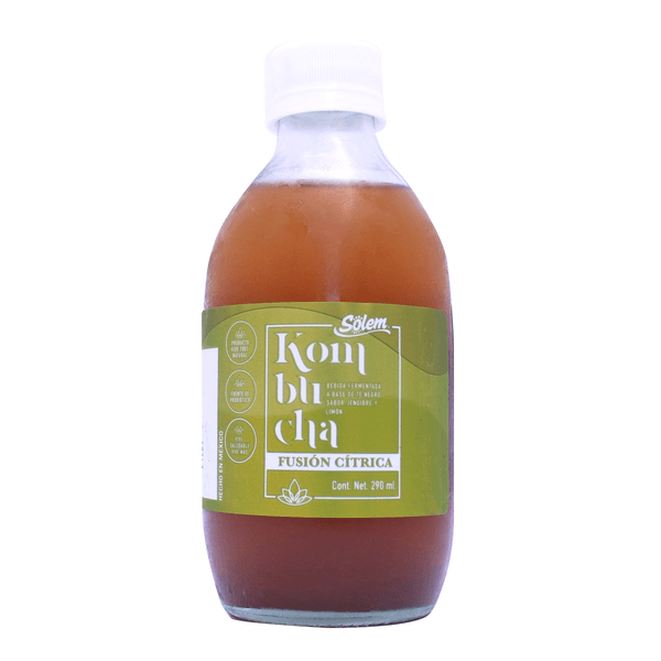 Kombucha Jengibre Y Limón 290 Ml