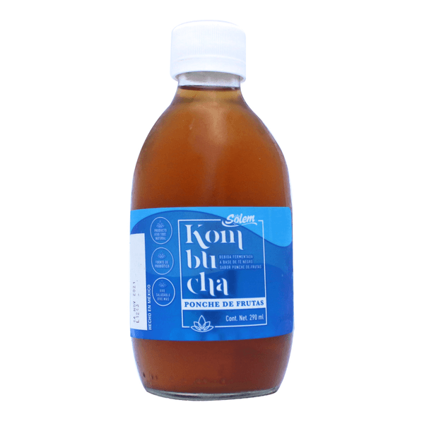 Kombucha Ponche De Frutas 290 Ml