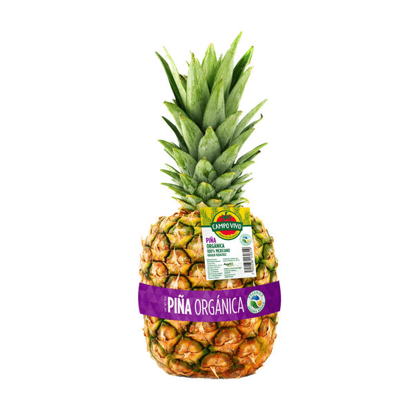 Campo Vivo Piña Organica 1.2 A 1.5 Kg 1 Pz