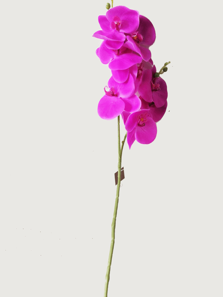 Vara De Orquidia Morada 1 Pz