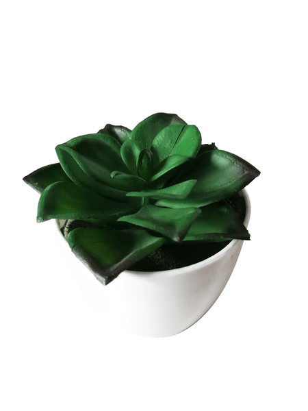 Suculenta Artificial Pequeña 1 Pz
