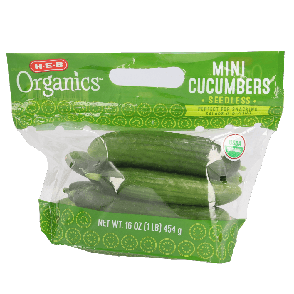Pepino Persa Organico En Bolsa 1 Pz