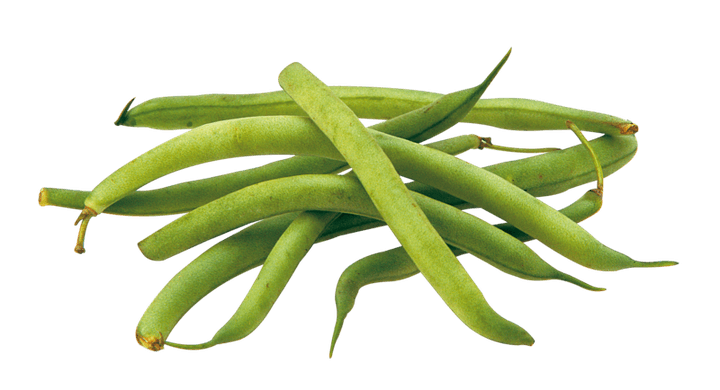 Ejote Verde