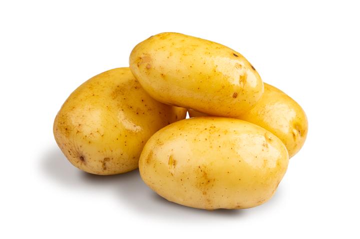 Papa Blanca