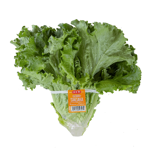 Lechuga Italiana