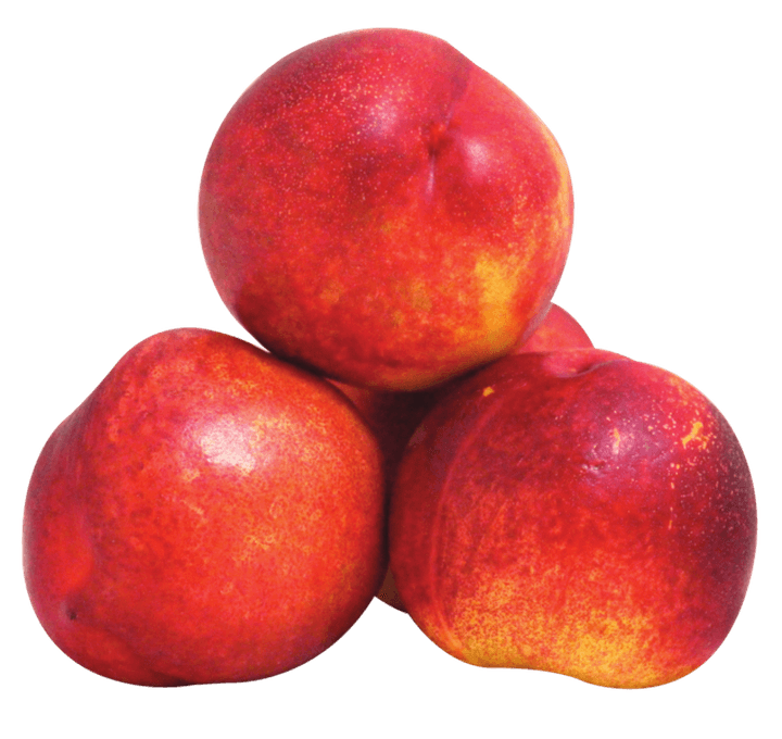 Nectarina