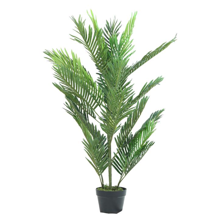 Palma Areca De 120 Cm 1 Pz