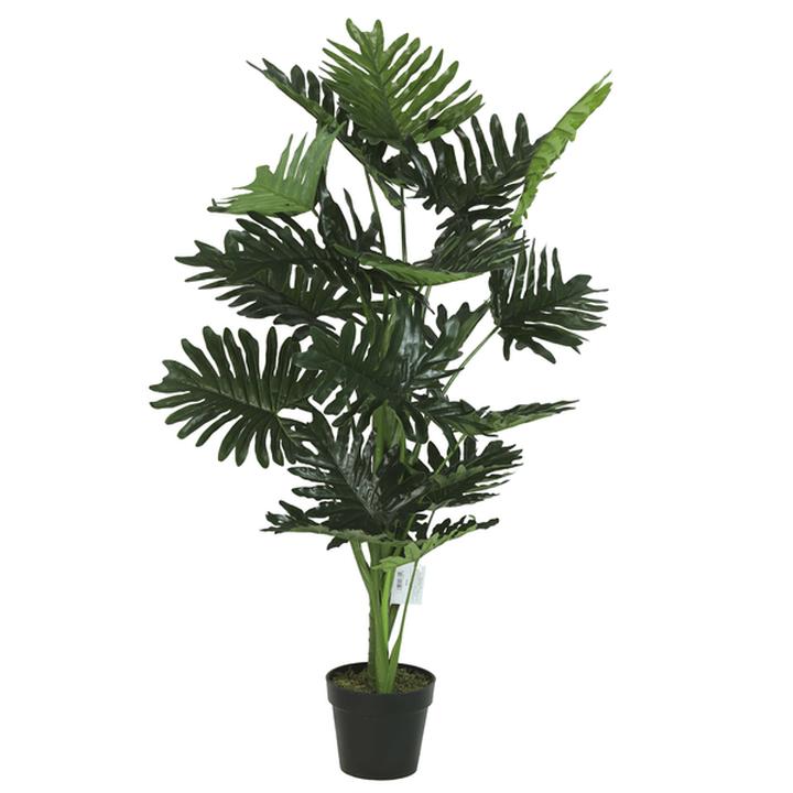 Filodendro Con Maceta 120 Cm 1 Pz