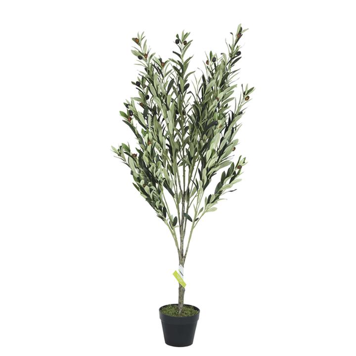 Olivo Con Maceta 135 Cm 1 Pz