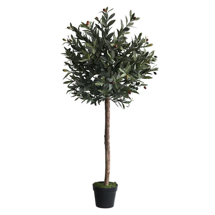 Olivo Con Maceta 150 Cm 1 Pz