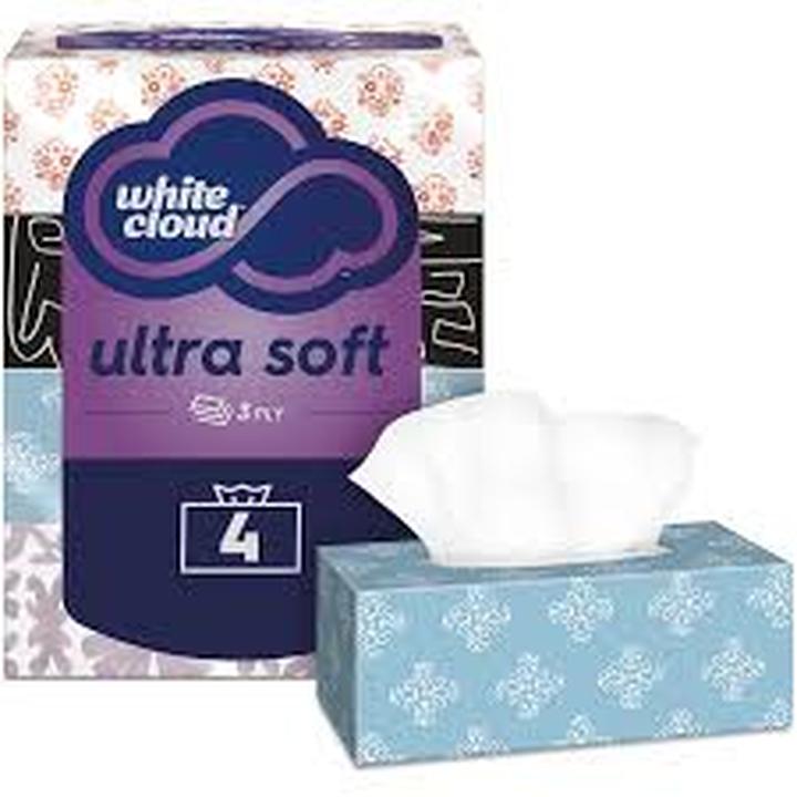 Pañuelos Desechables Flat 4 Pz 4 Pz