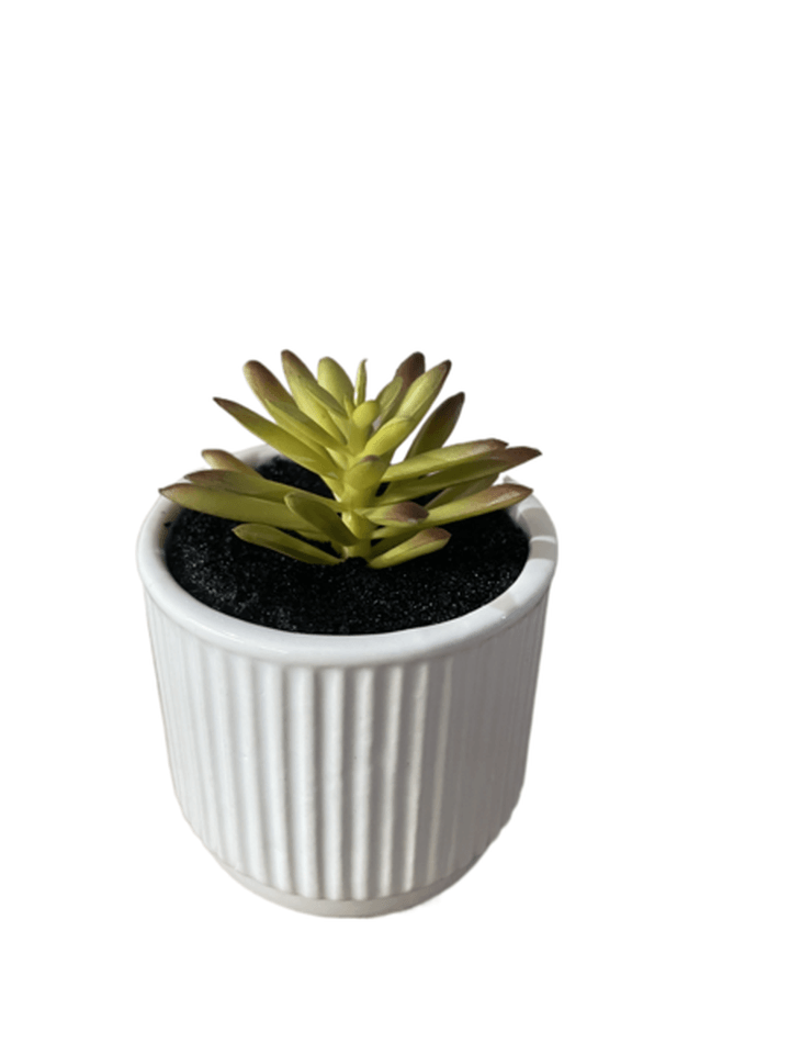 Planta Artificial 10cms 1 Pz
