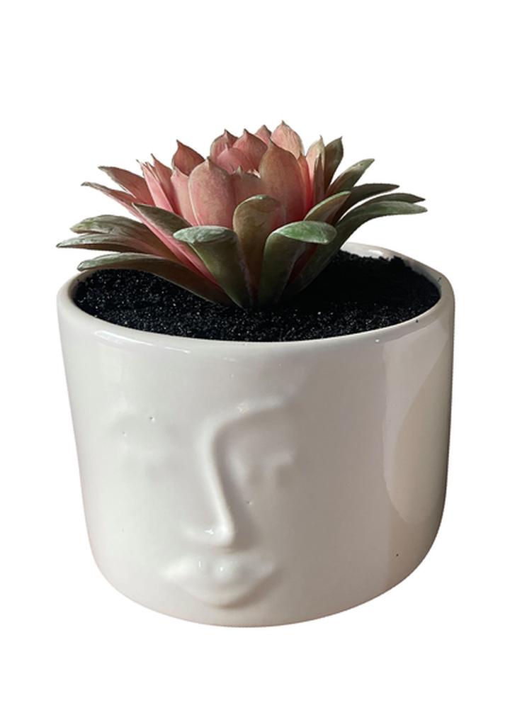 Planta Artificial 12cms 1 Pz