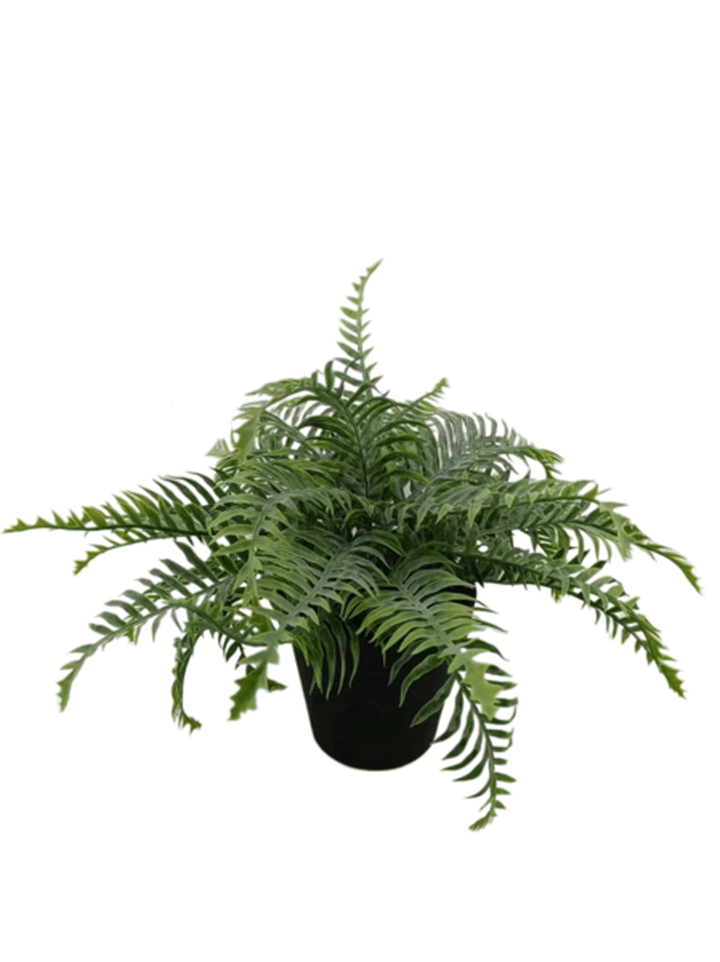 Decoracion Helecho Art 39cms 1 Pz