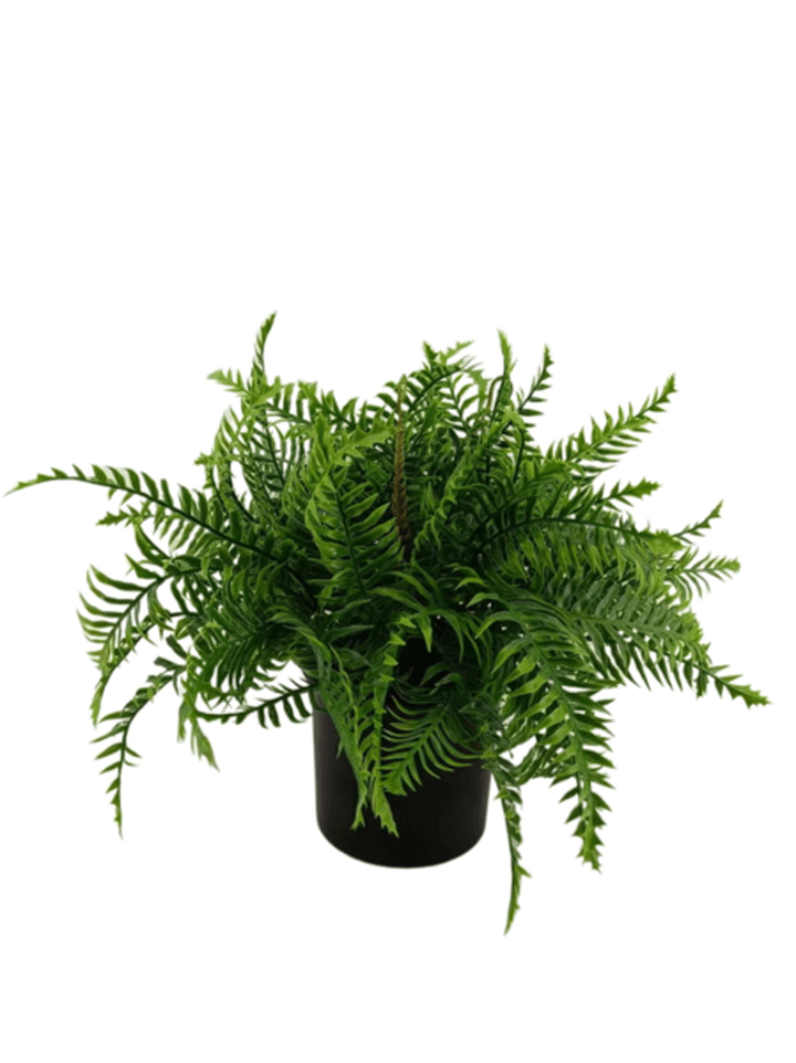 Decoracion Helecho Art 44cms 1 Pz