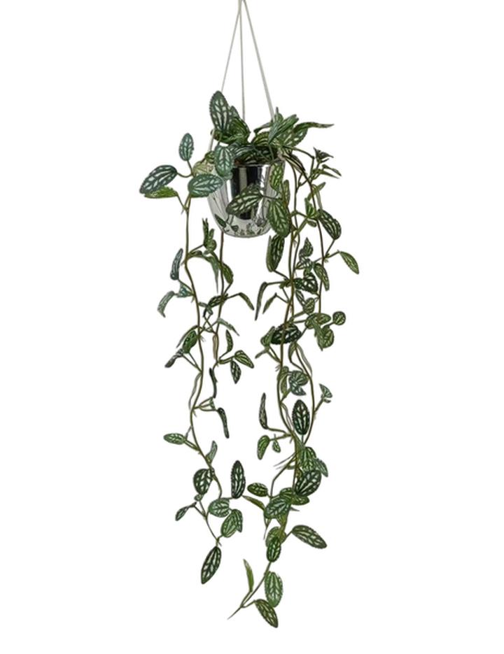 Decoracion Planta Artificial 30cms Alto 1 Pz