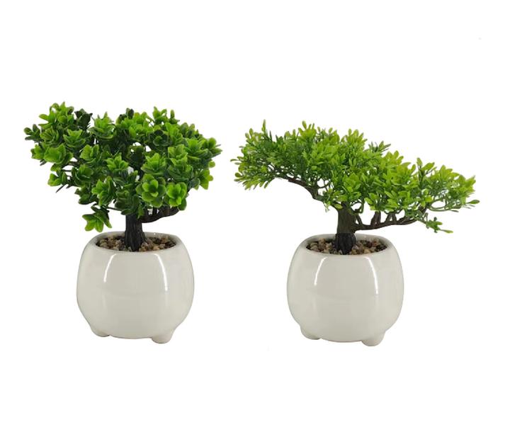 Decoracion Planta 20cms Alto 1 Pz