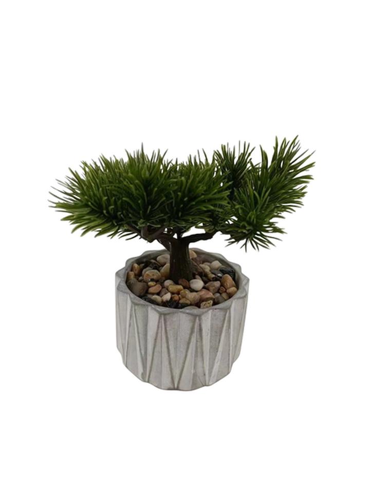 Decoracion Planta 21cms Alto 1 Pz