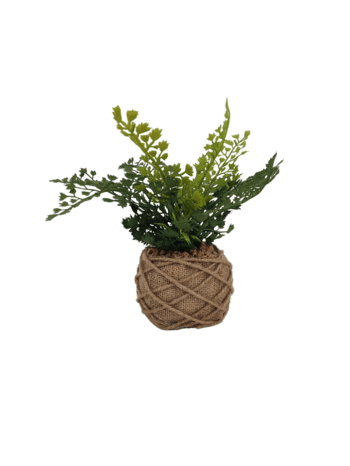 Decoracion Planta 24cms Alto Base Natural 1 Pz