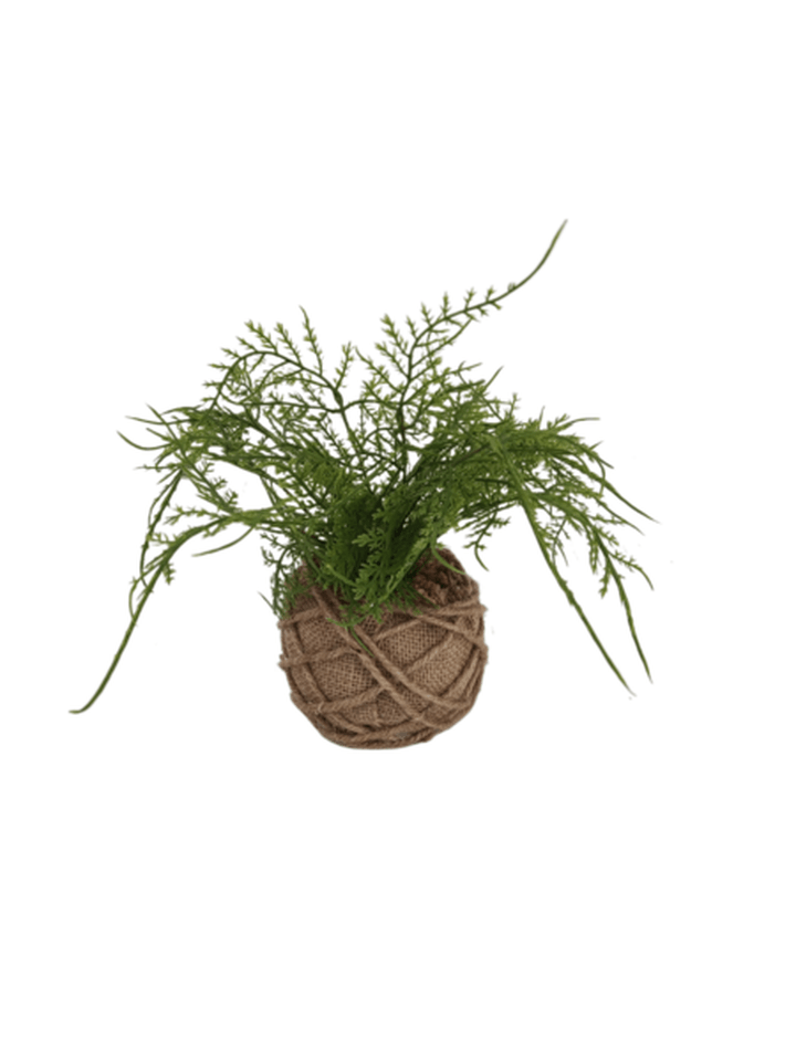 Decoracion Planta 25cms Alto Base Natural 1 Pz