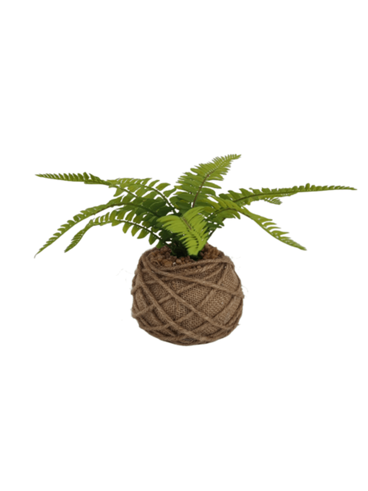 Decoracion Planta 26cms Alto Base Natural 1 Pz