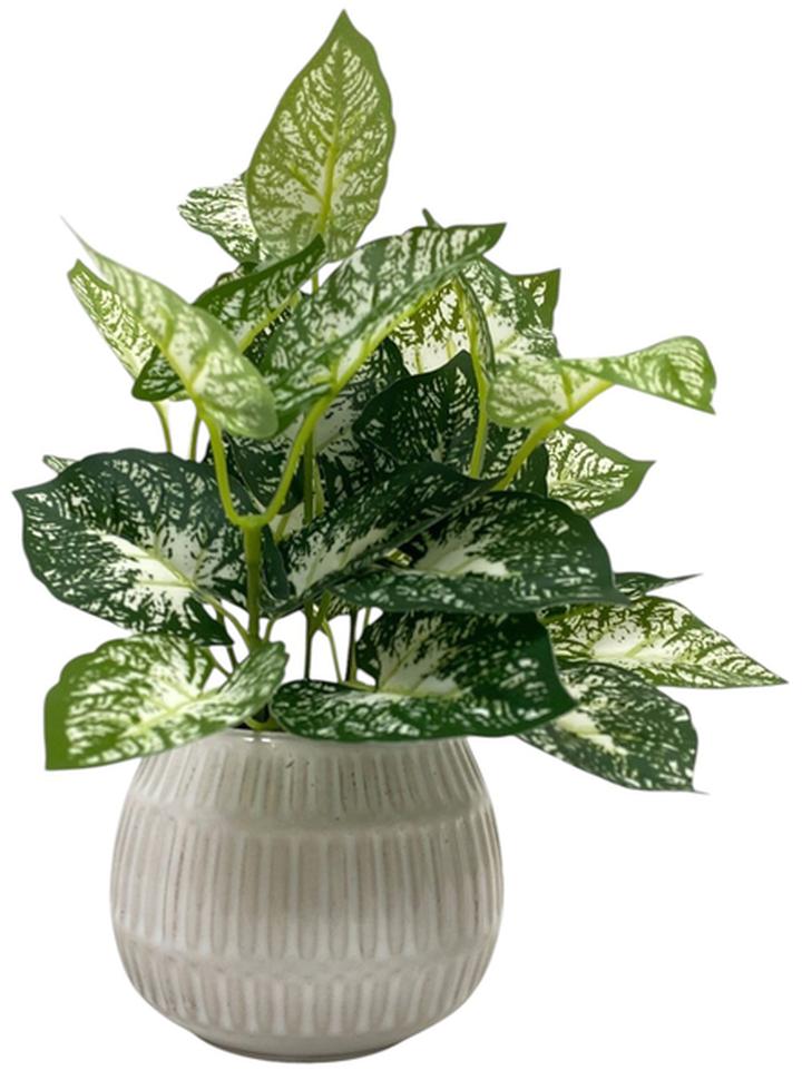 Planta Artificial Haven & Key Con Follaje 25 Cm