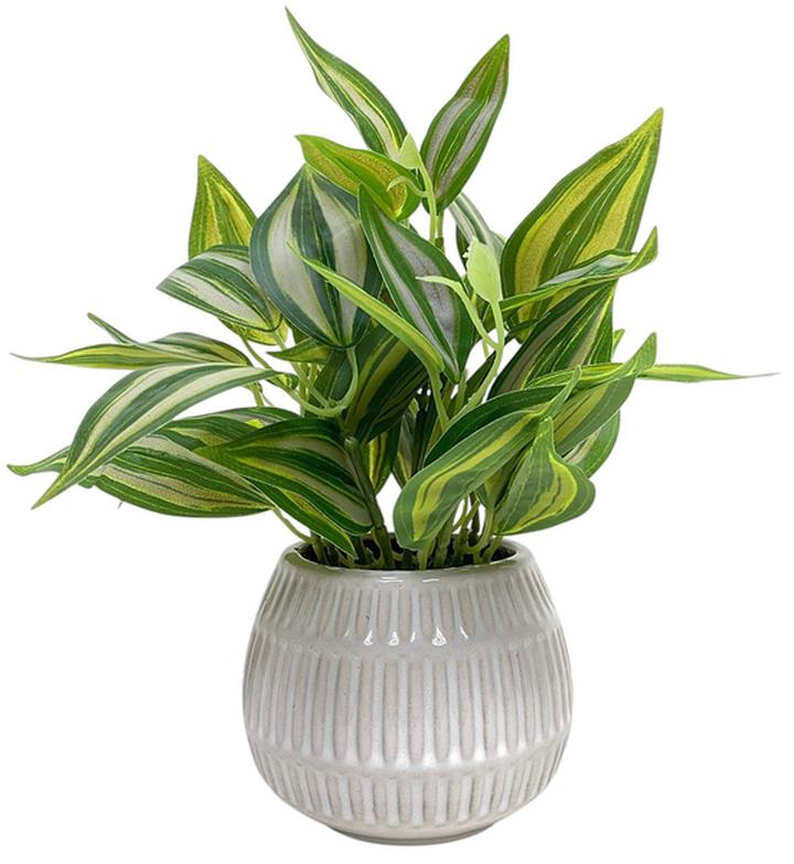 Planta Artificial Haven & Key Con Follaje 24 Cm