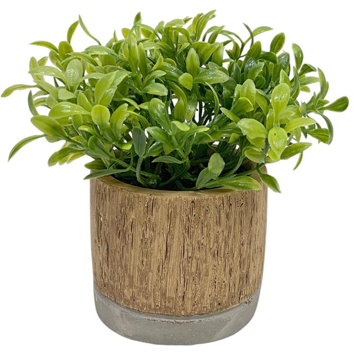 Planta Artificial Haven & Key Con Follaje 14 Cm