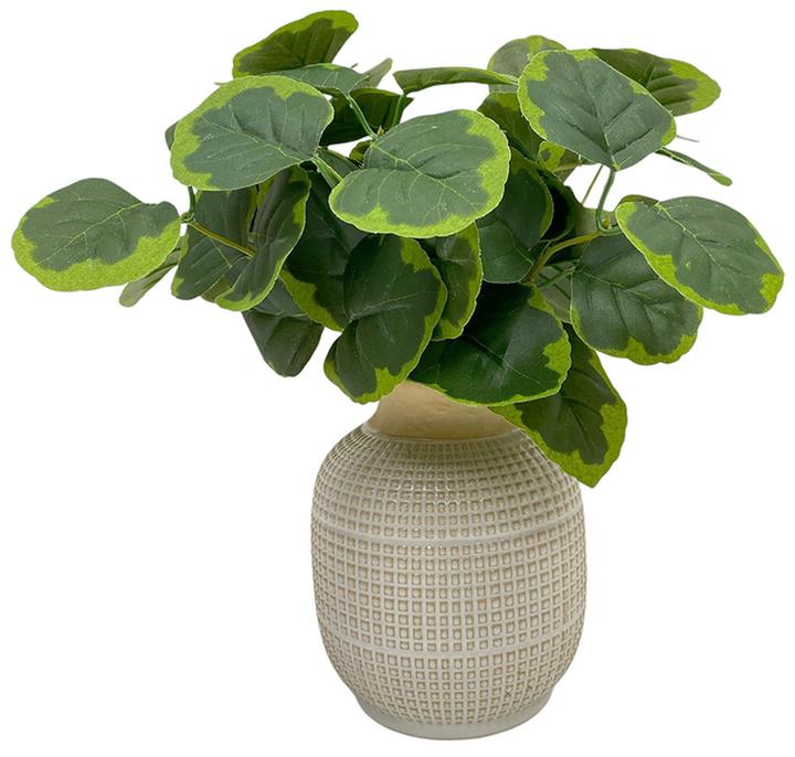 Planta Artificial Haven & Key Con Jarrón Crema 34 Cm