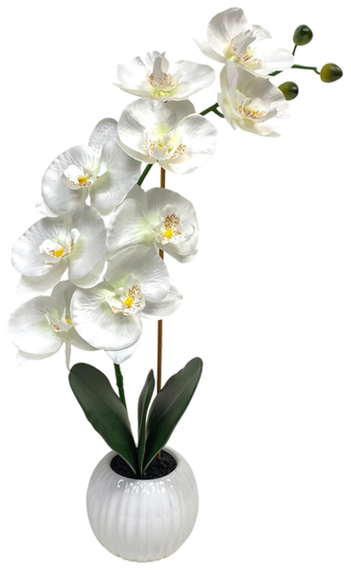 Planta Artificial Haven & Key Orquídea Blanca 50 Cm