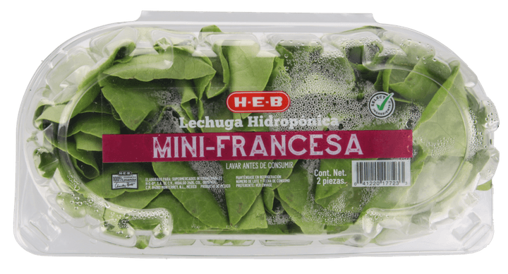 Hidropónica Mini Francesa 1 Cmt