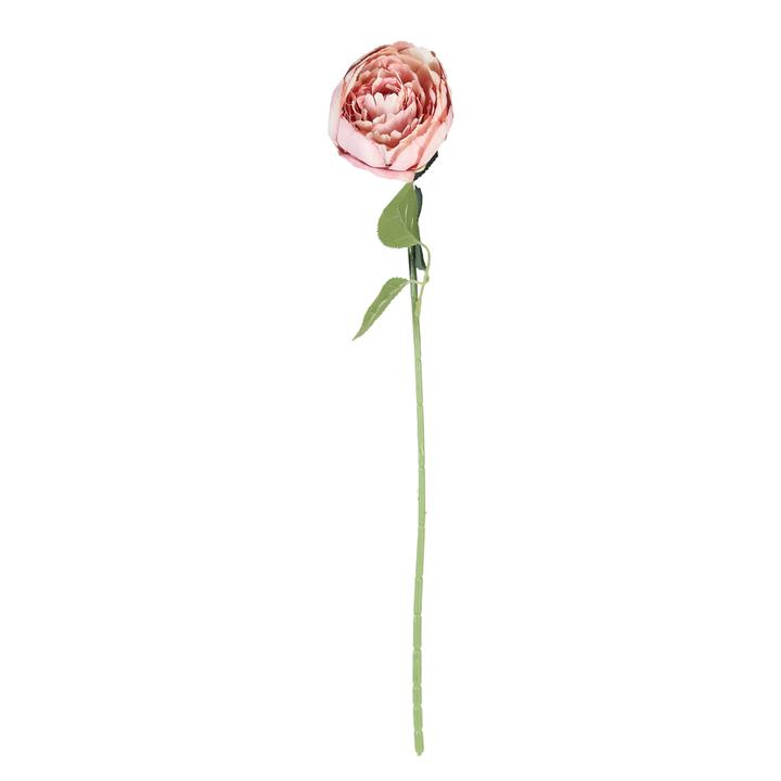 Peonia Rosa 62 Cm Flores Rosa 1 Pz